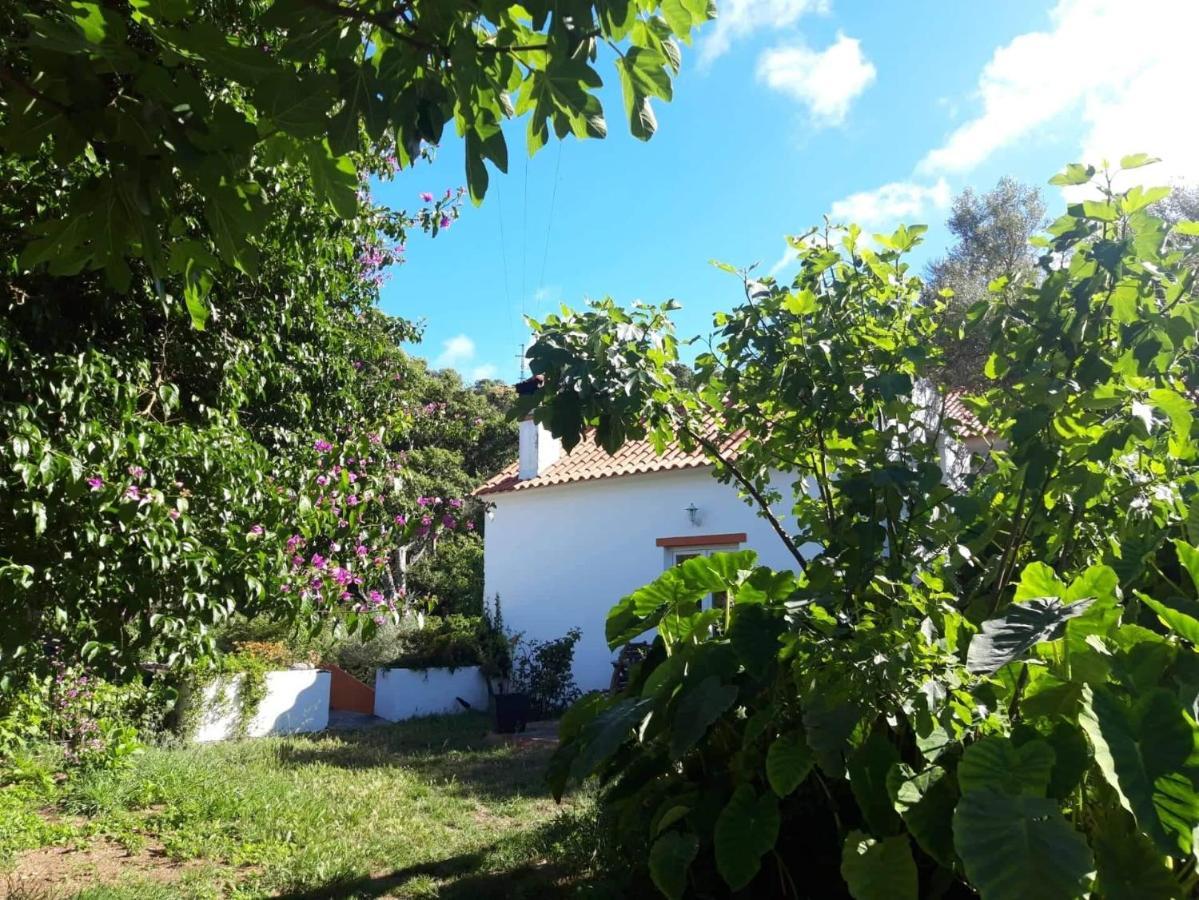 Quinta Algarve Das Relvinhas Monchique Bagian luar foto